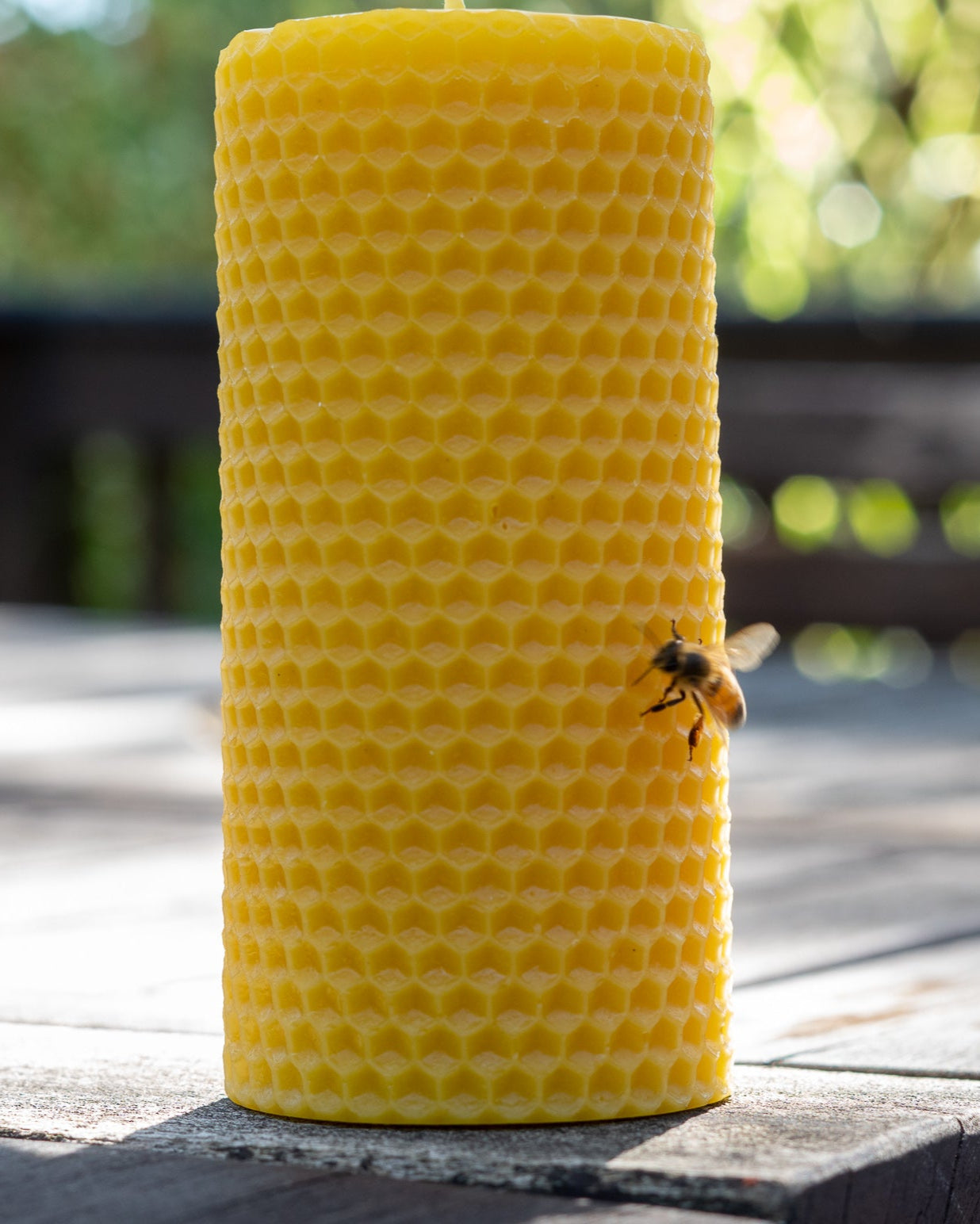 How Honey Bees Make Wax: The Purest Source for Clean-Burning Candles