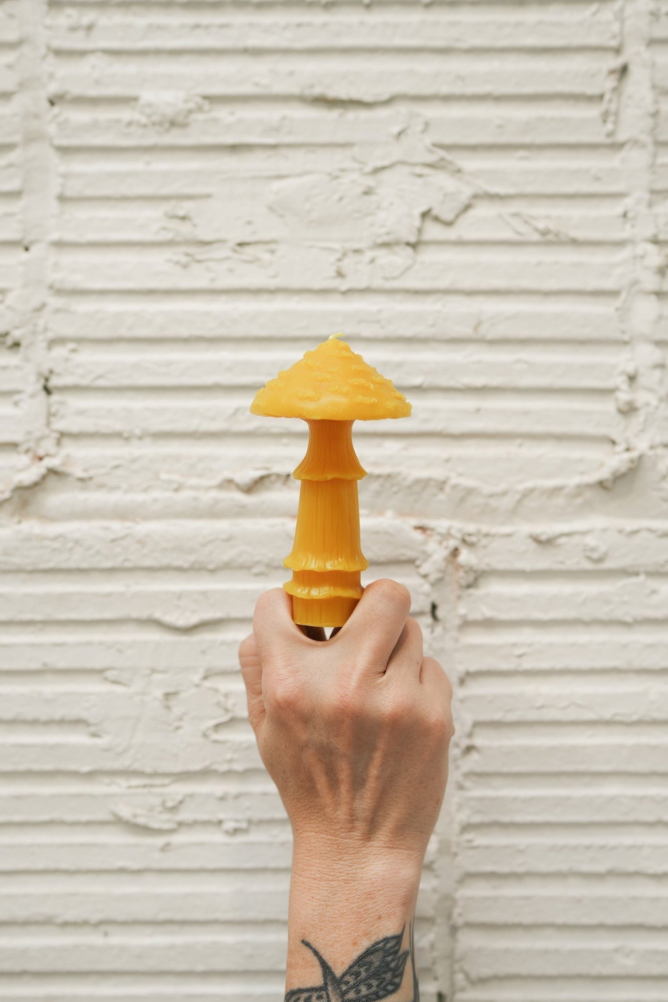 Amanita