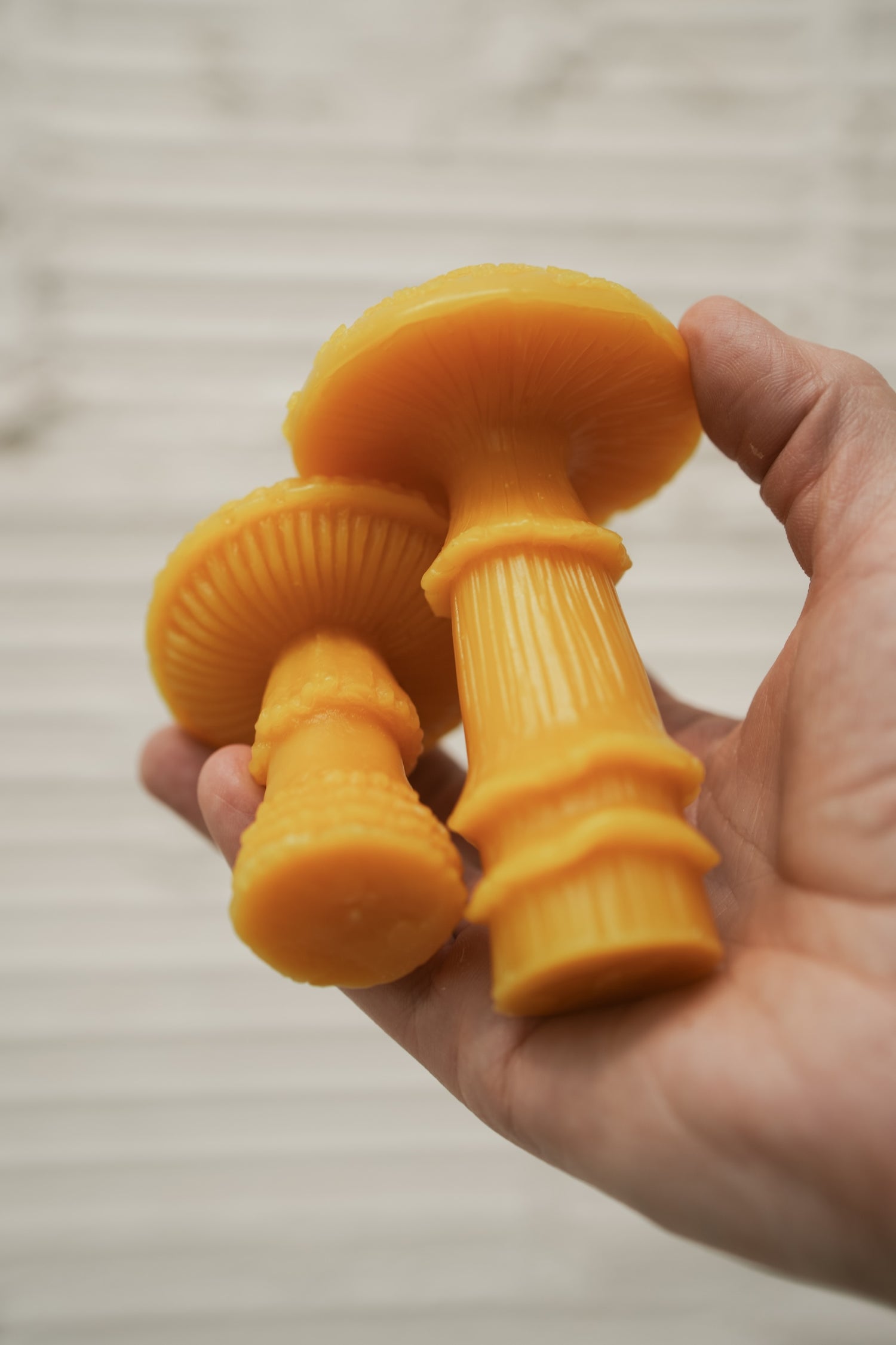 Amanita