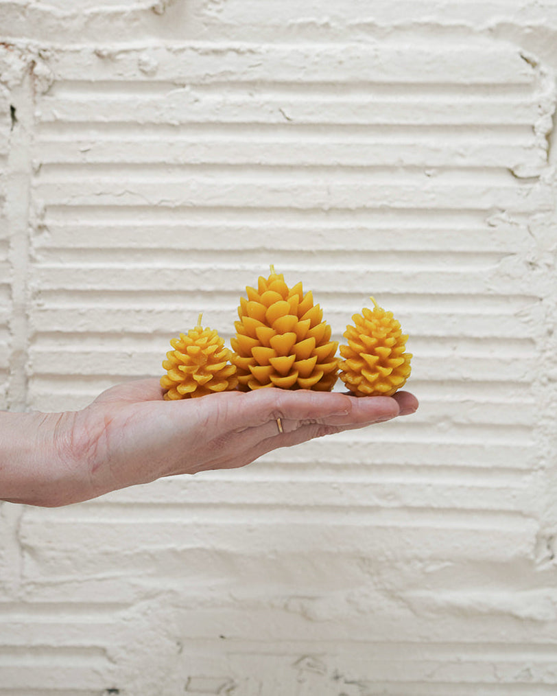 Pinecones