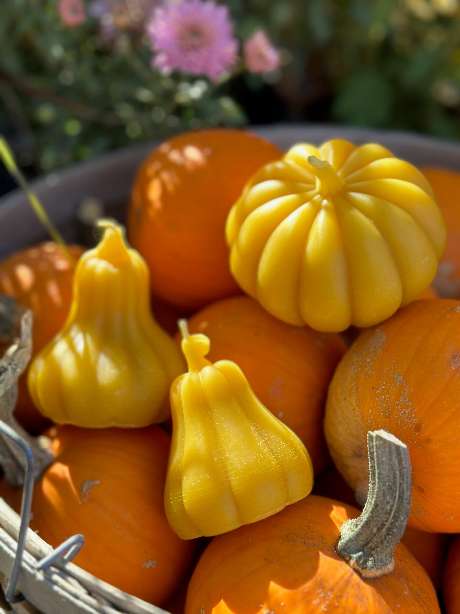 Seasonal