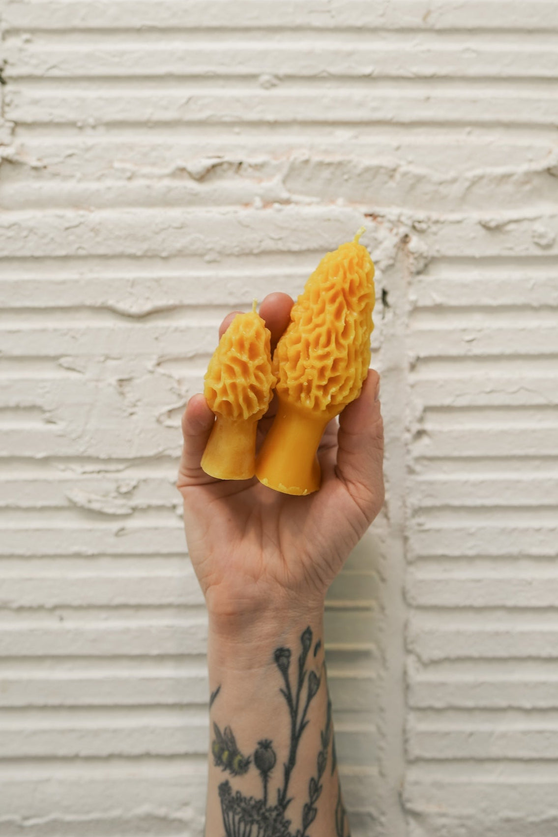 Morel