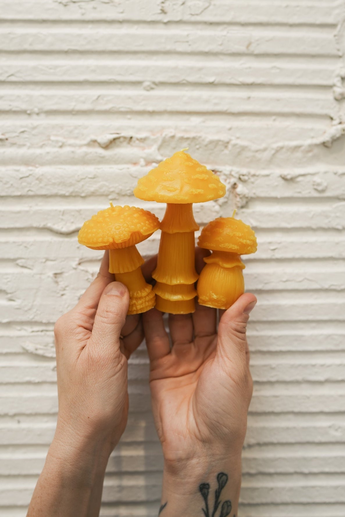 Amanita