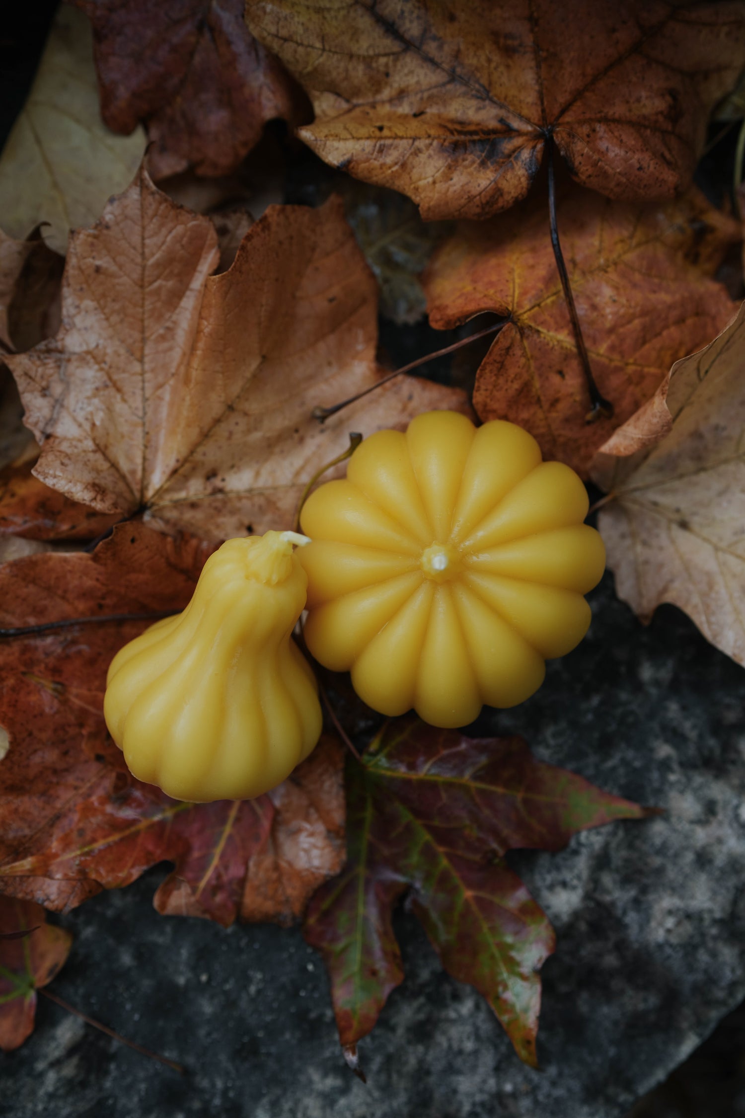 Pumpkin