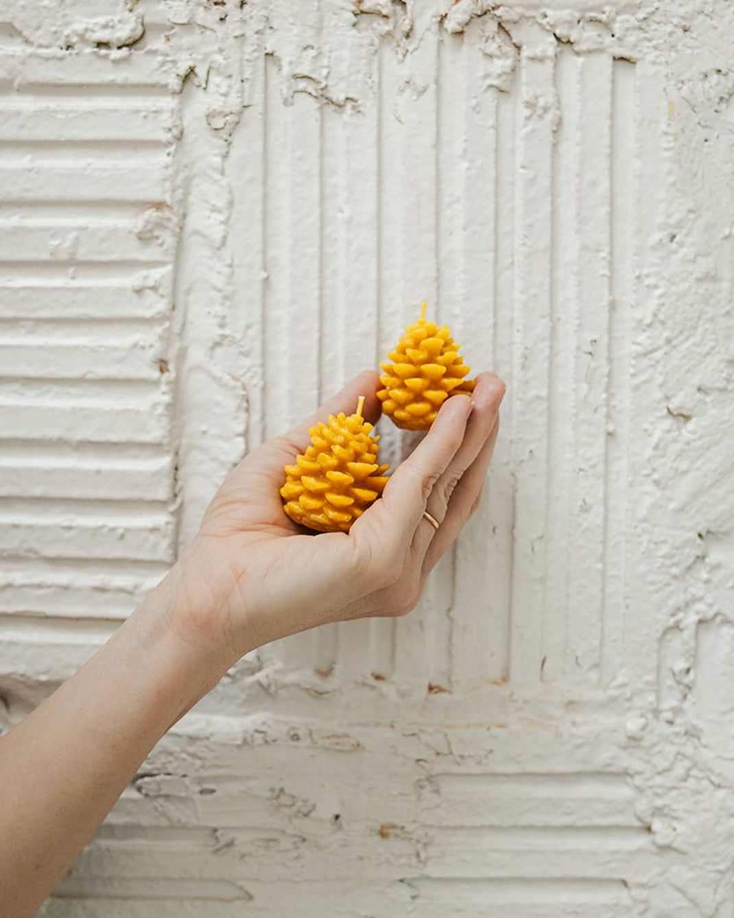 Pinecones