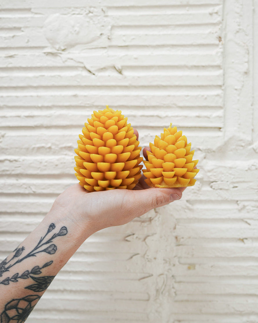 Pinecones