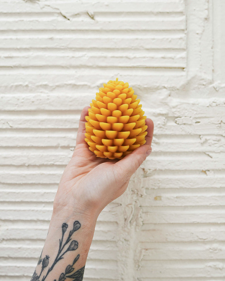 Pinecones