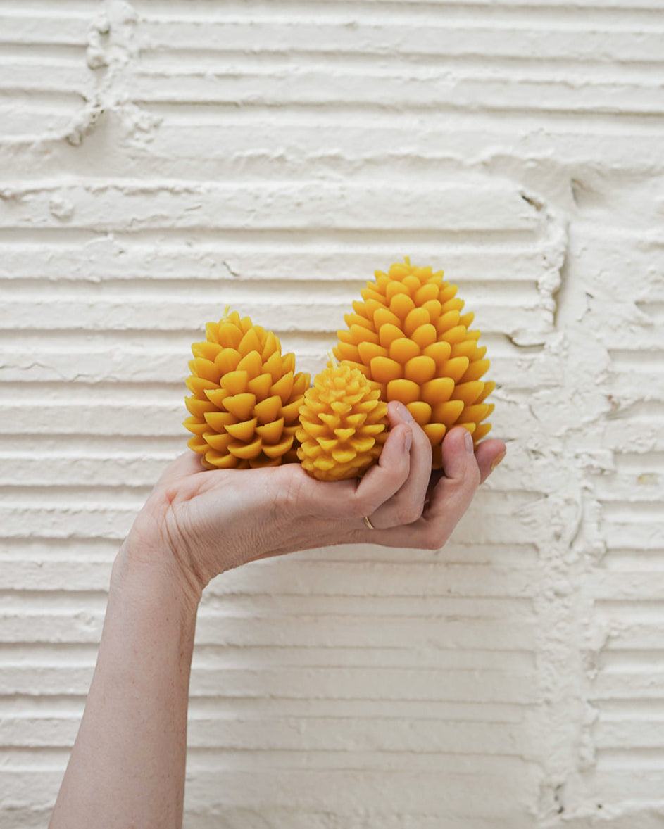 Pinecones
